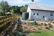 Back yard of the WaterSense house.